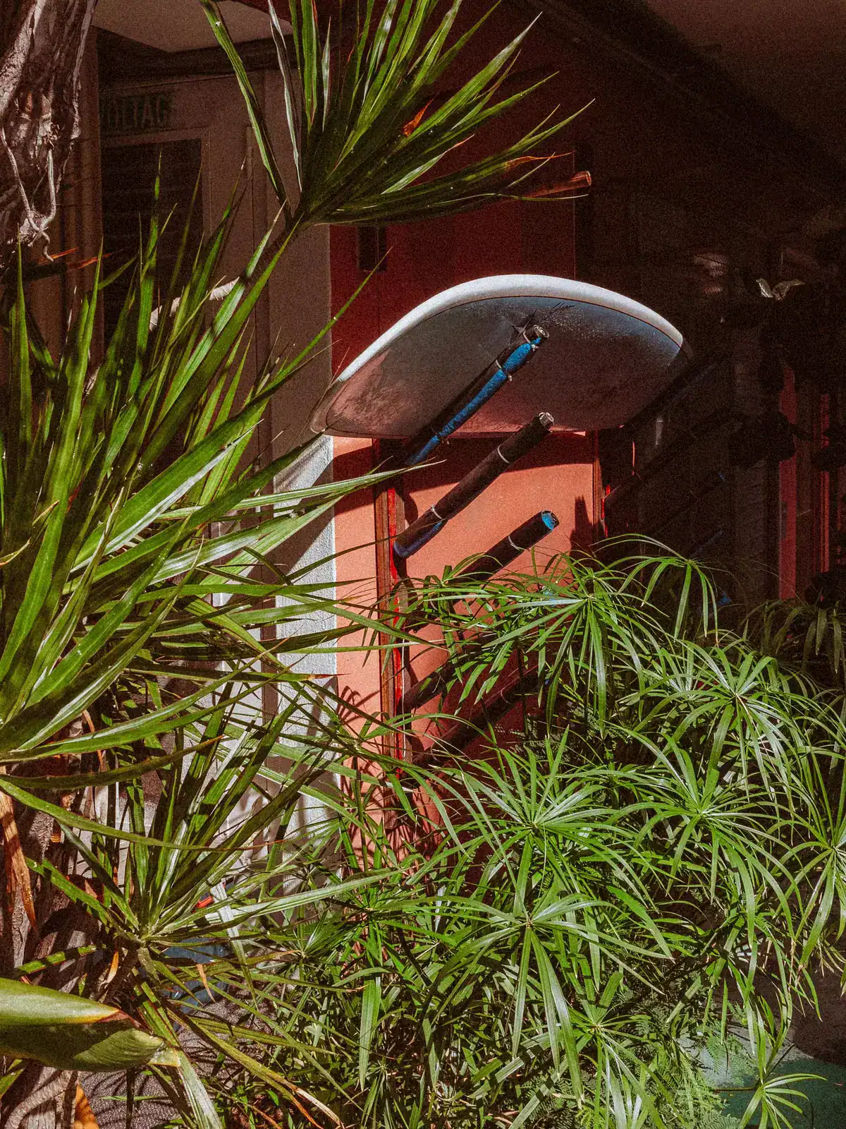 BMH Surfboard Decor