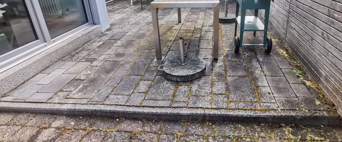 Vermooste Pflasterfläche auf einer Terrasse. Die Reinigung wird empfohlen. Homepage
