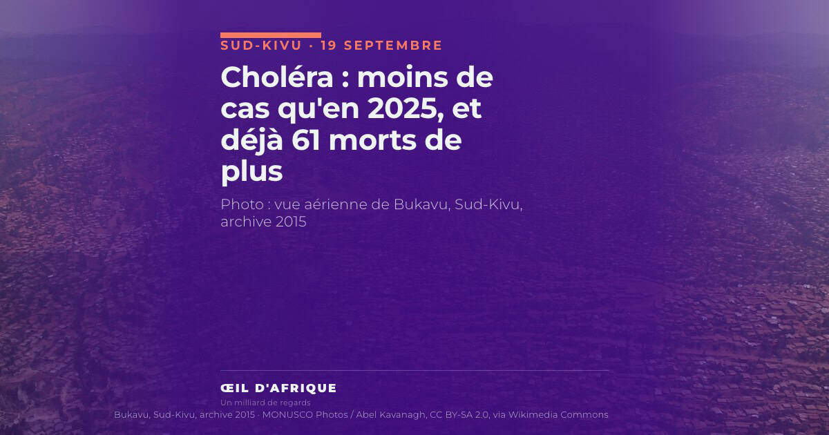 Choléra : moins de cas qu'en 2025, et déjà 61 morts de plus