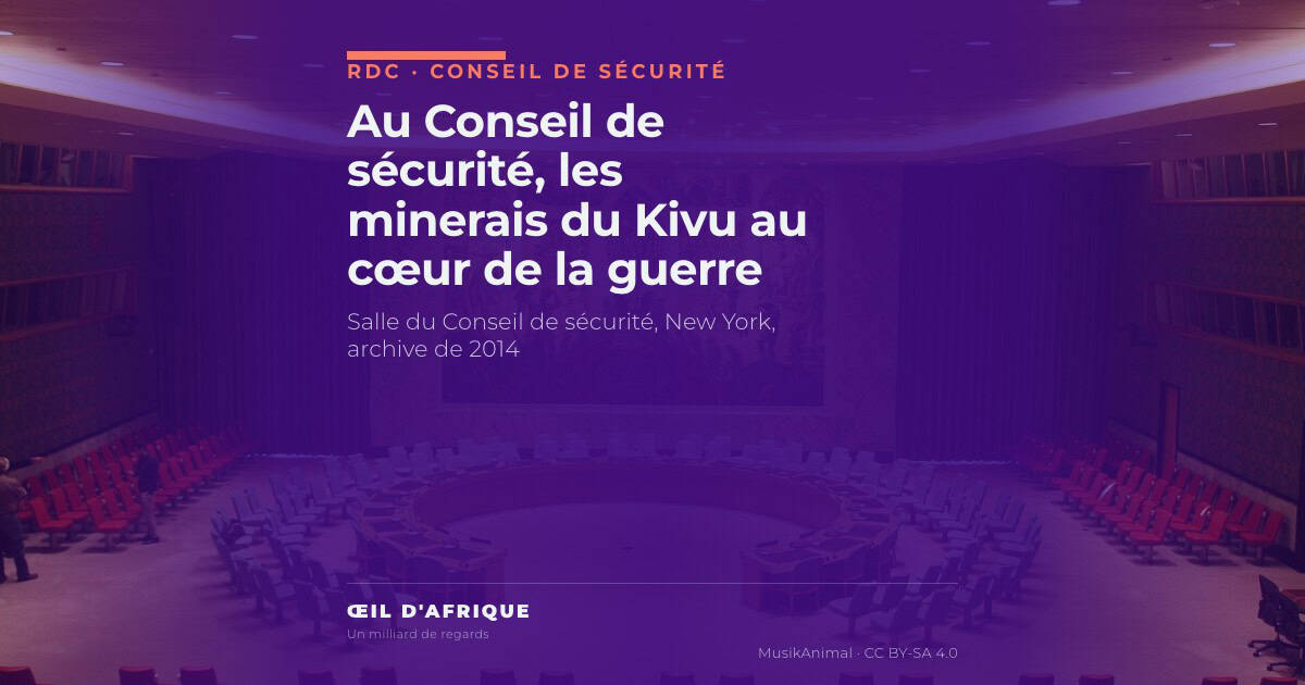 Salle du Conseil de sécurité des Nations unies à New York, où la société civile du Sud-Kivu a décrit la guerre des minerais dans l'Est de la RDC