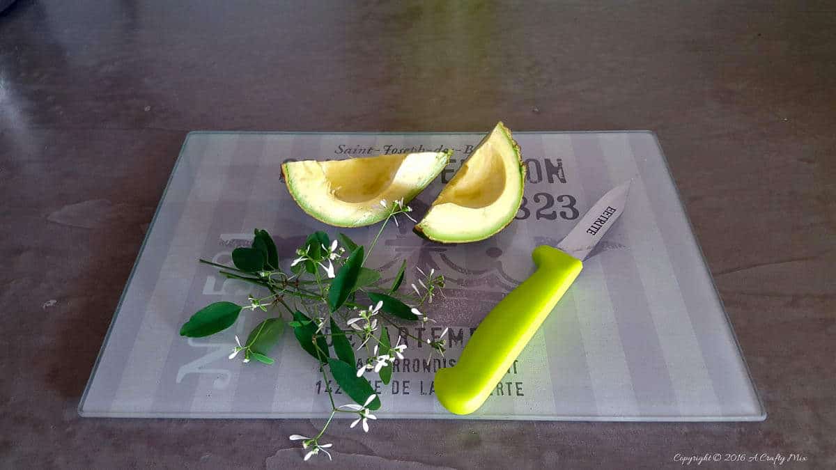 Pops of lime and avocado