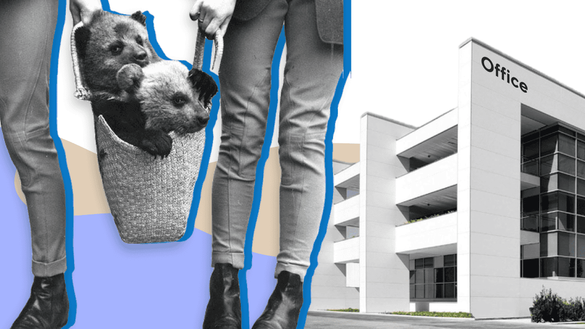 Как правильно подбирать персонал