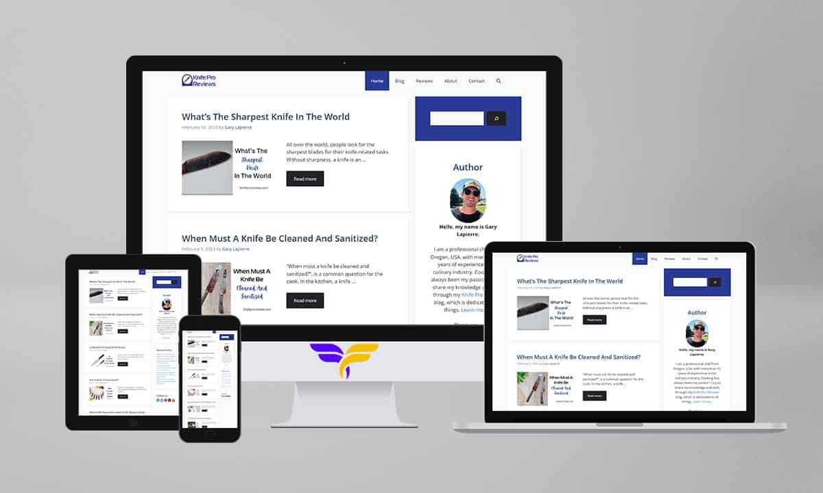 Amazon Affiliate or Niche Website Designed with WordPress