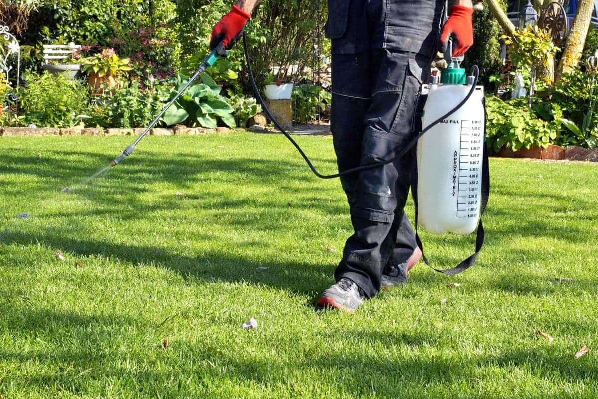 Pulvérisation pest-control professionnelle dans un jardin vert pour éliminer insectes et nuisibles, service SOS Extermination.