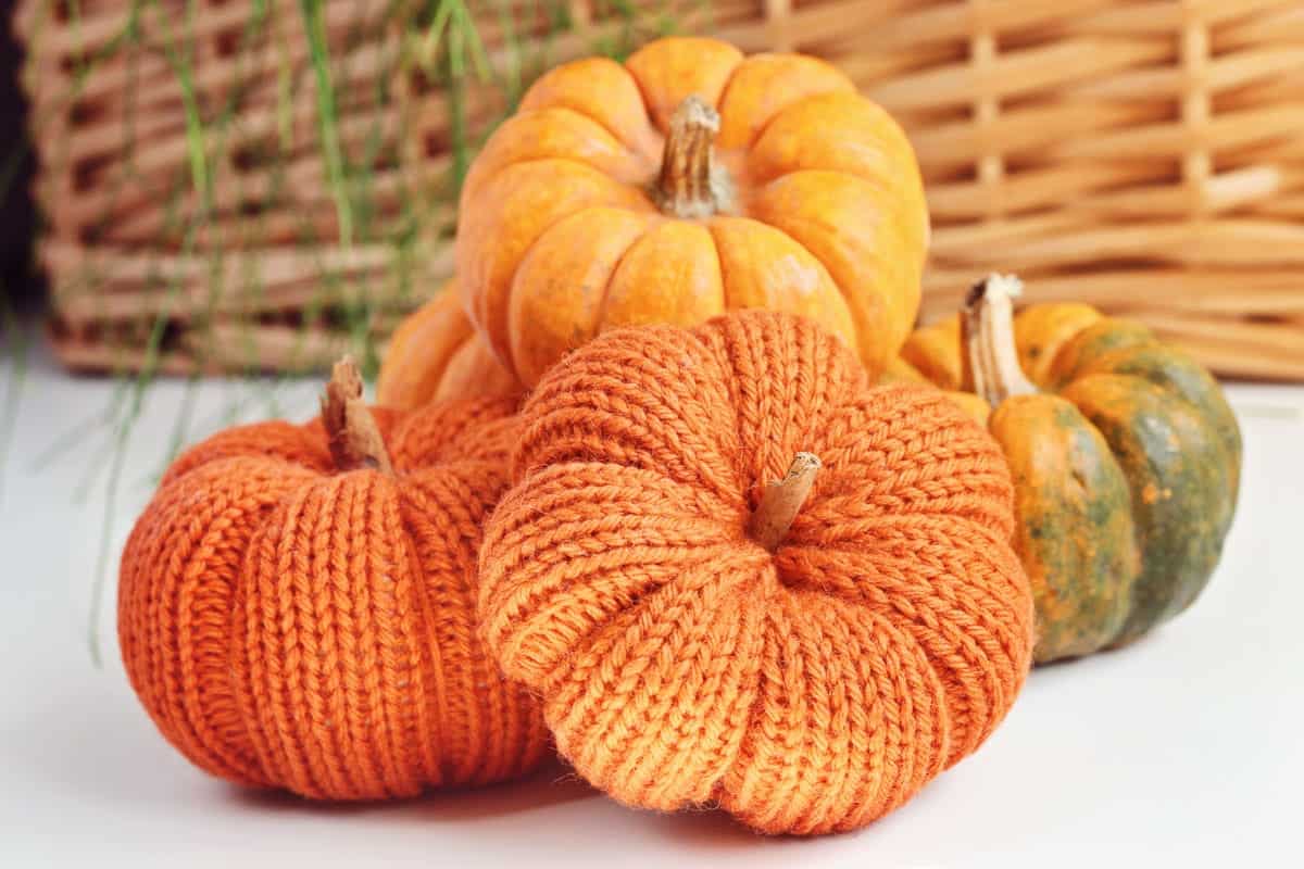 Free Knitted Pumpkin Pattern Perfect For Beginners free-knitted-pumpkin-pattern-perfect-for-beginners