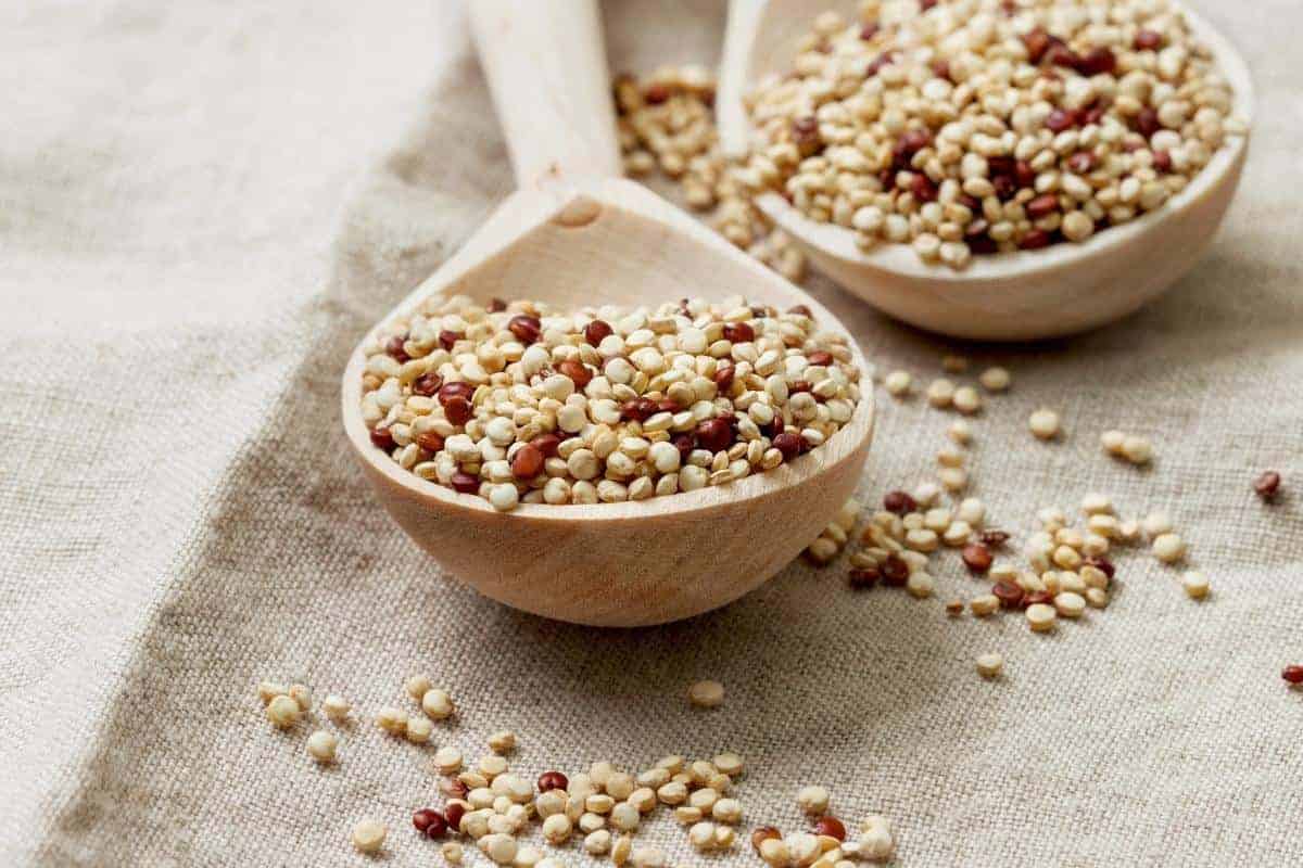 spoon of dry quinoa