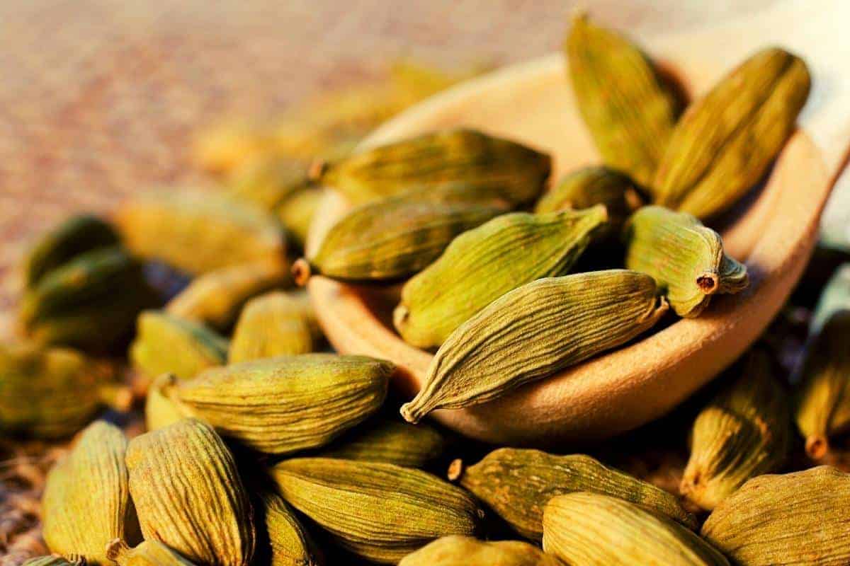 Cardamom pods
