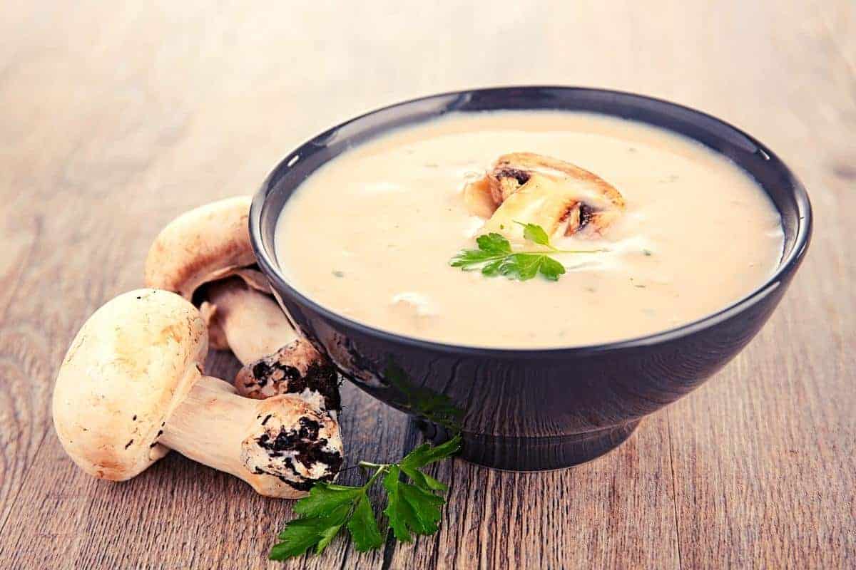 Mushroom soup