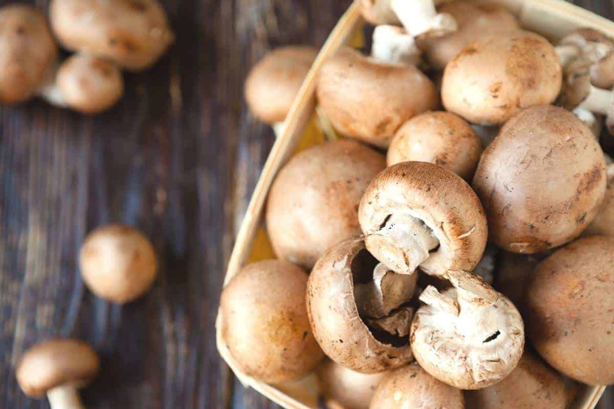 A punnet of raw mushrooms.