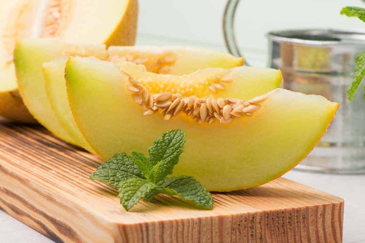 slices of melon
