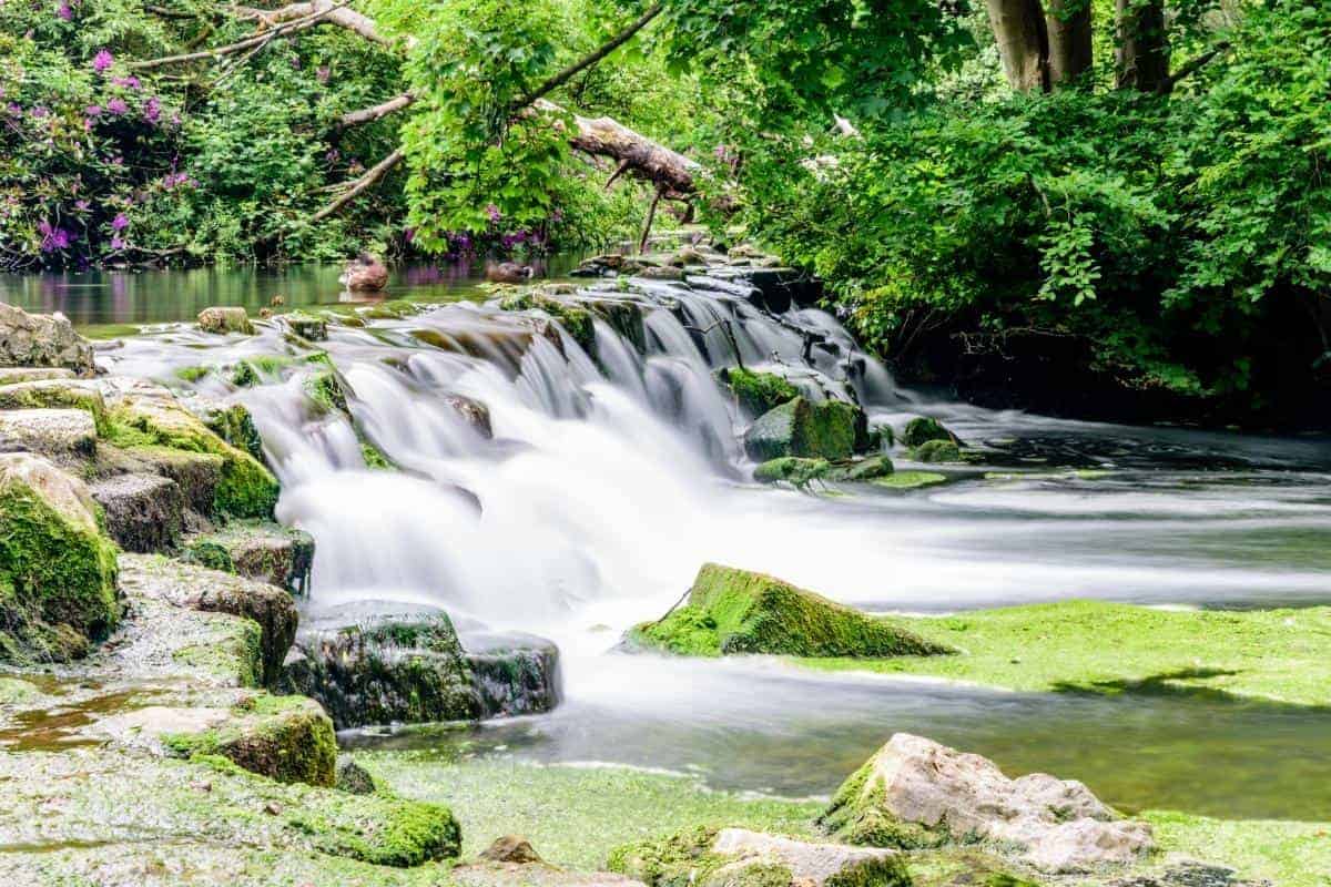 a waterfall in a forest
