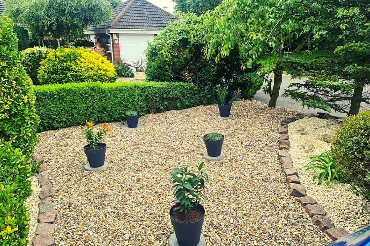 garden with pots and hedges
