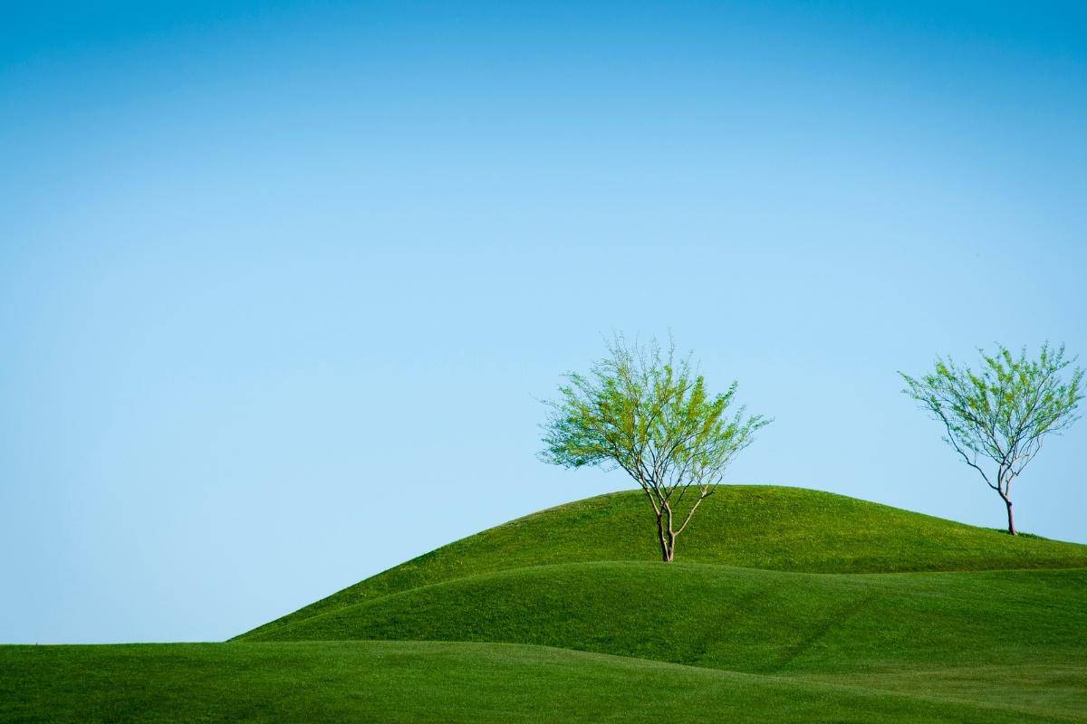 grass hills