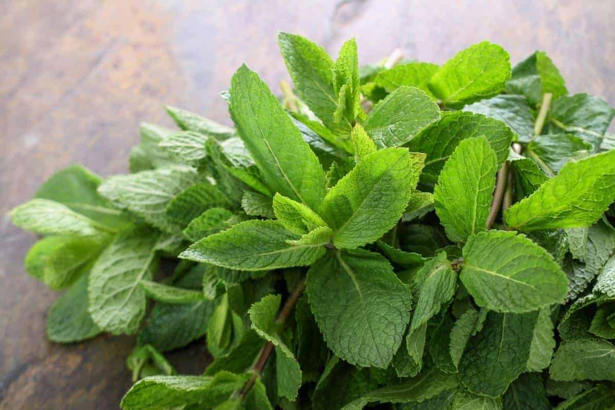 fresh herbs