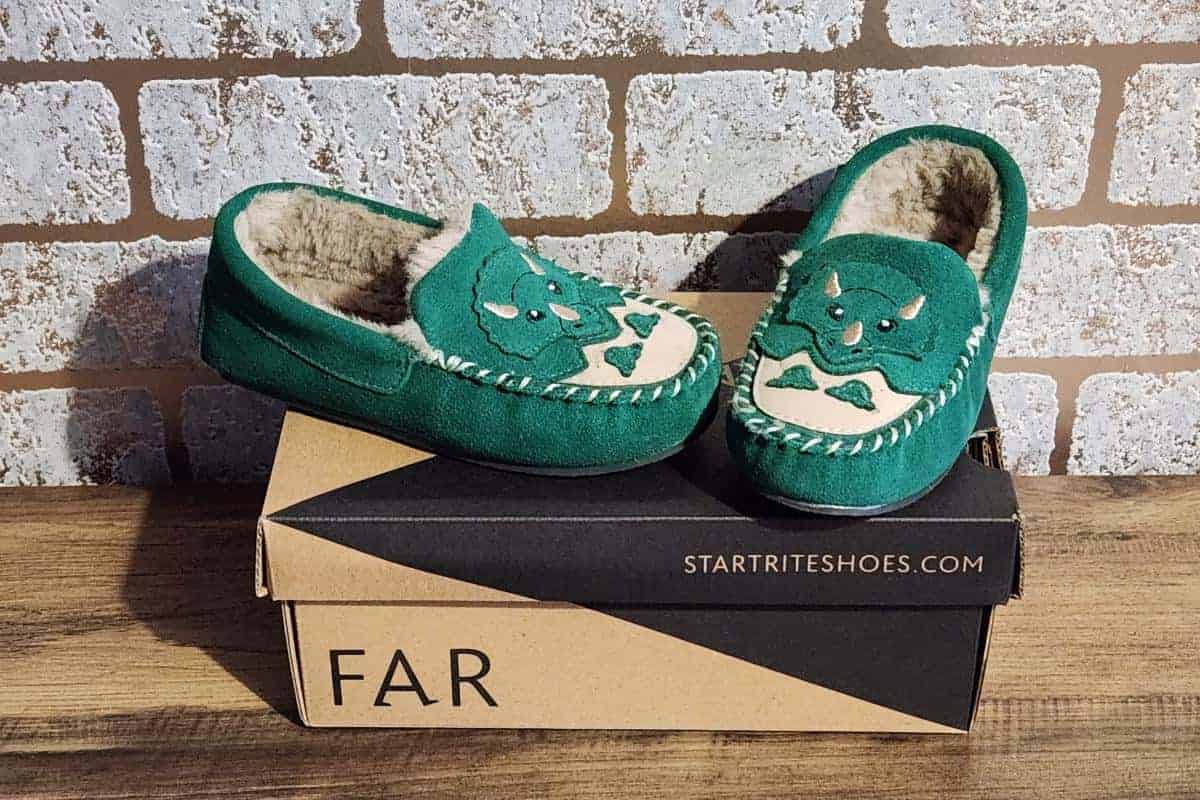 Dinosaur slippers.