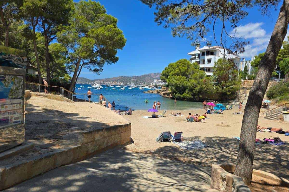 A small sandy beach in Santa Ponsa with people sunbathing and swimming, bordered by trees and stone steps, with white buildings and boats dotting the calm blue water under a sunny sky—an inviting scene near Bahia del Sol’s all-inclusive comforts.