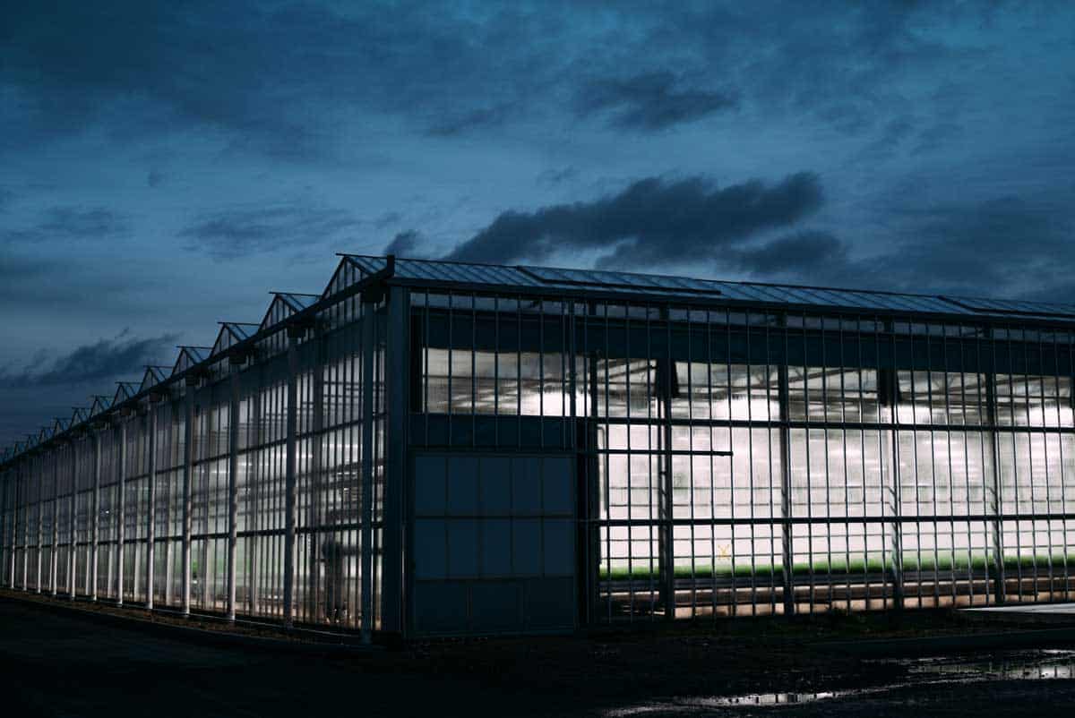 Greenhouse with lights on, cloudy night