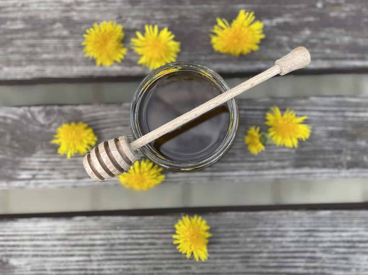 dandelion mlecz syrop z mleczy in a jar.