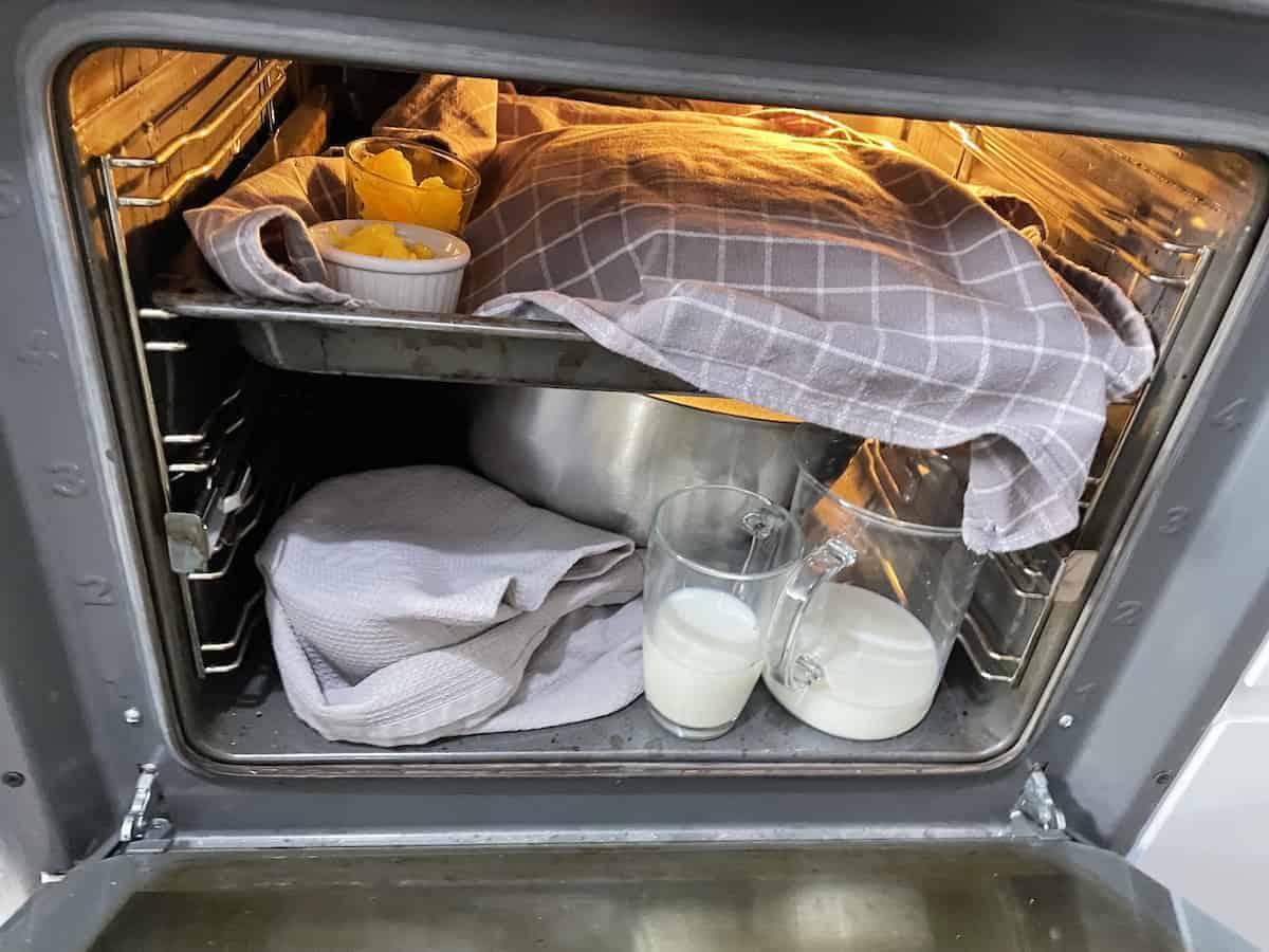 Dough proofing in the oven.