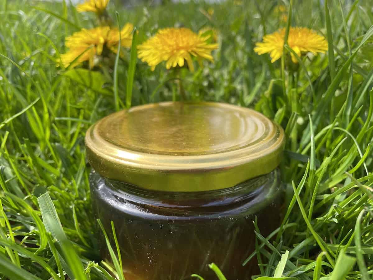 Dandelion syrup in a jar.