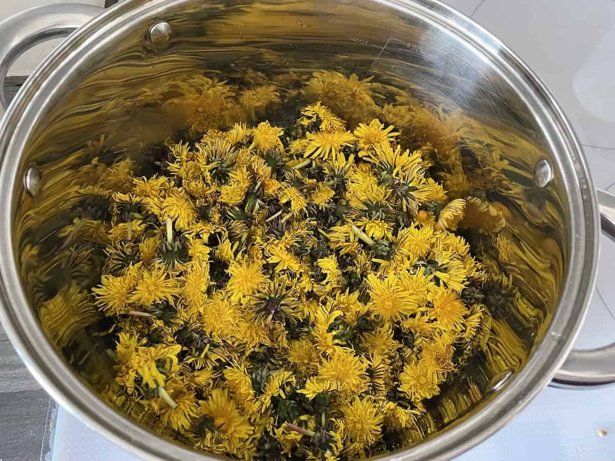 Dandelions in a pot.