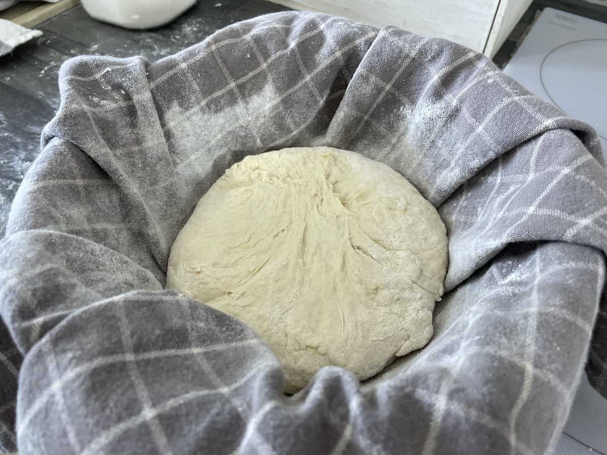 Place the dough in a bread proofing basket.