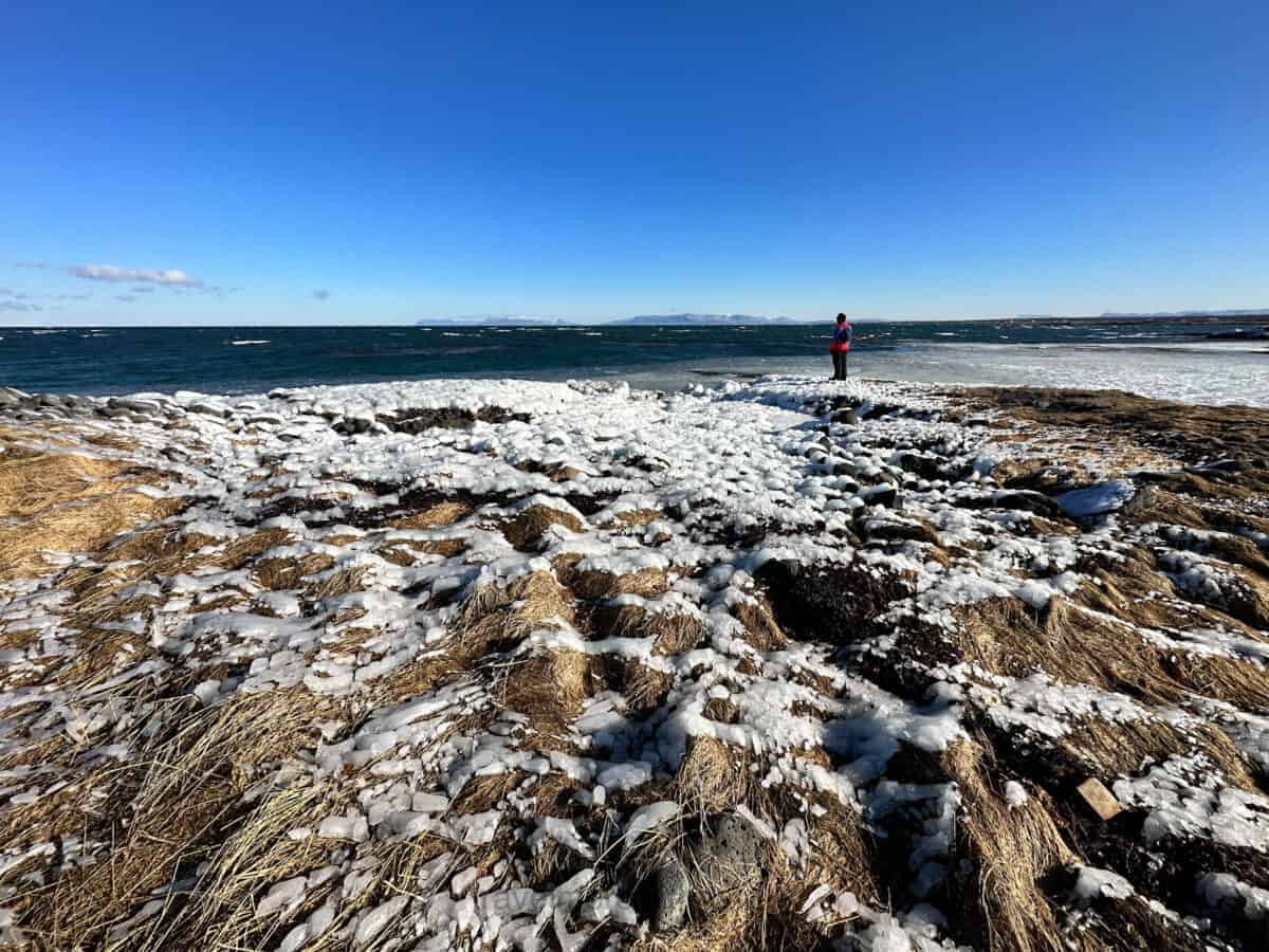 A snowy, icy shoreline with dry grass and a person standing on a rocky outcrop overlooking a body of water. Nature trips can be calming when travelling with ADHD, or boring to others.