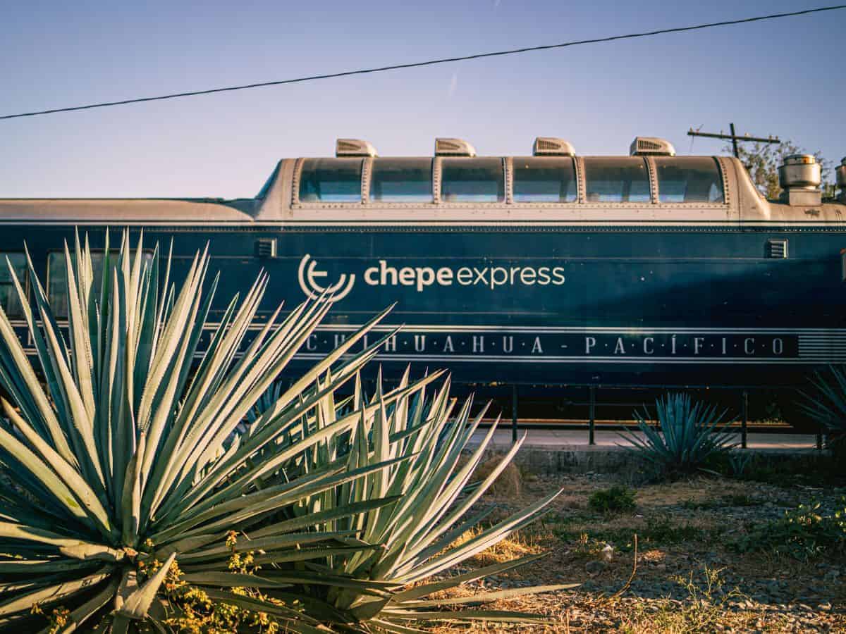 How to Book El Chepe Train Tickets for Copper Canyon in Mexico How to Book El Chepe Train Tickets for Copper Canyon in Mexico - image of dark green Chepe Express