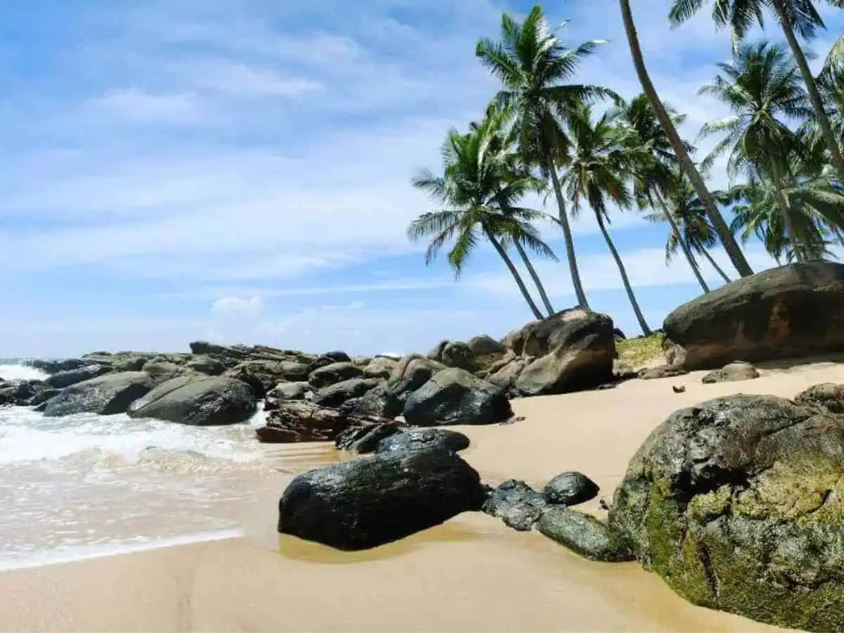 Top Things to Do in Tangalle, Sri Lanka Top things to do in Tangalle in Sri Lanka, beach with large rocks on and palm trees to the right