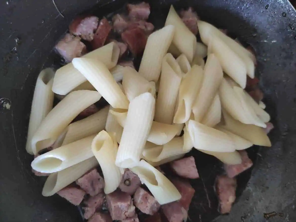 Polish sausage and pasta in a dish.