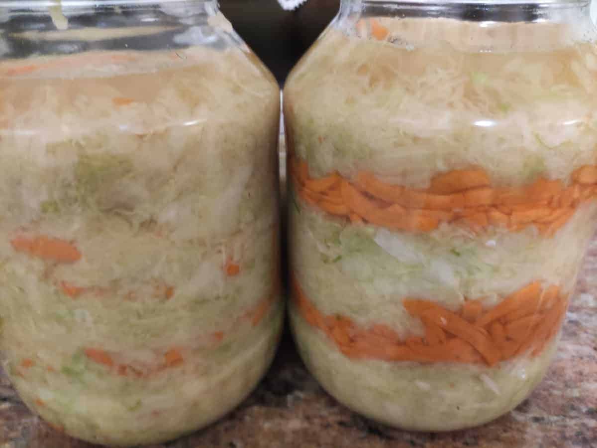 Polish sauerkraut in glass jars.