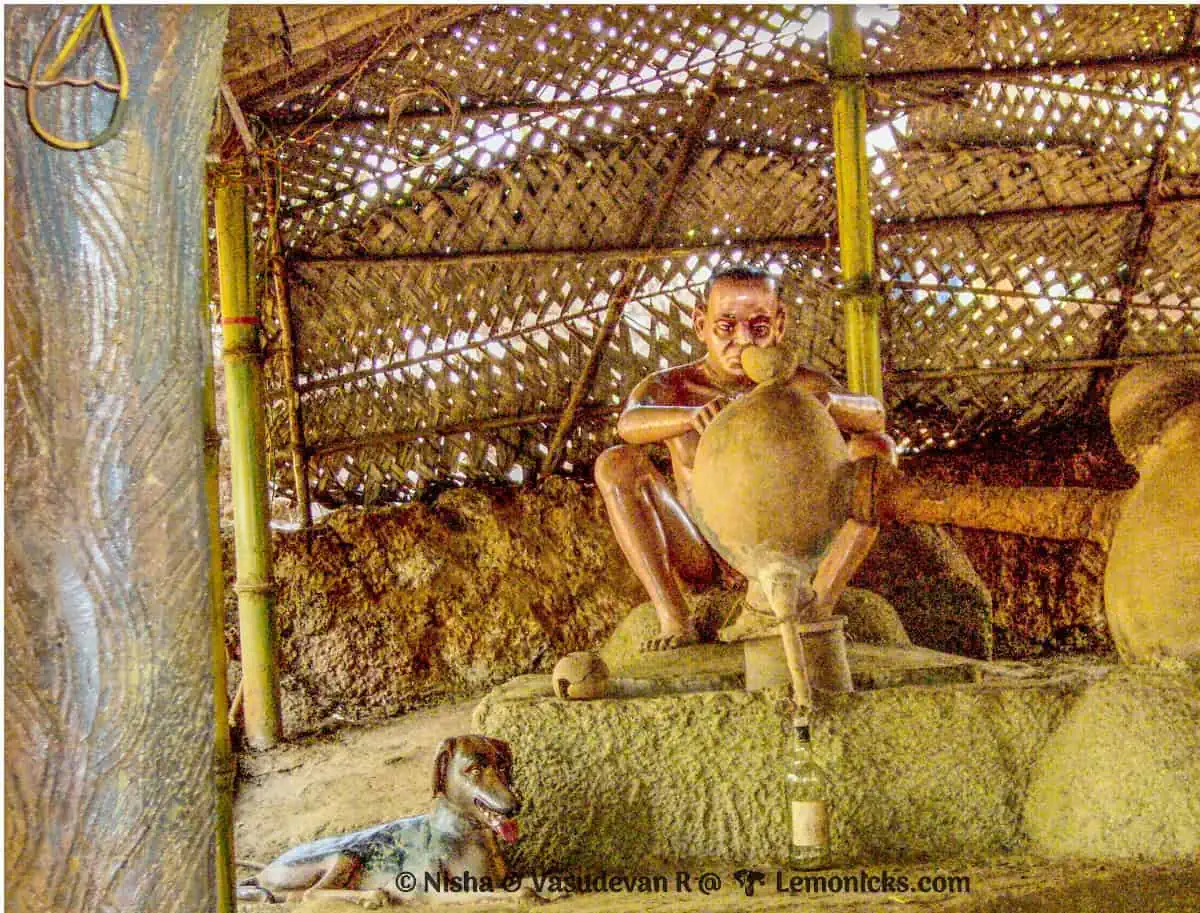 cashew Feni Goas most popular alcoholic drink