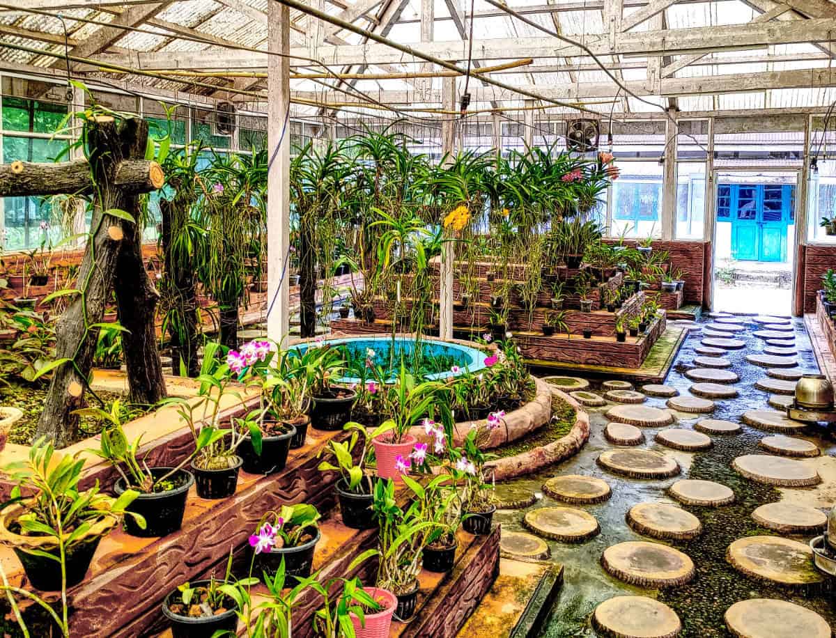 Tippi Orchidarium glass house Things to do in bhalukpong