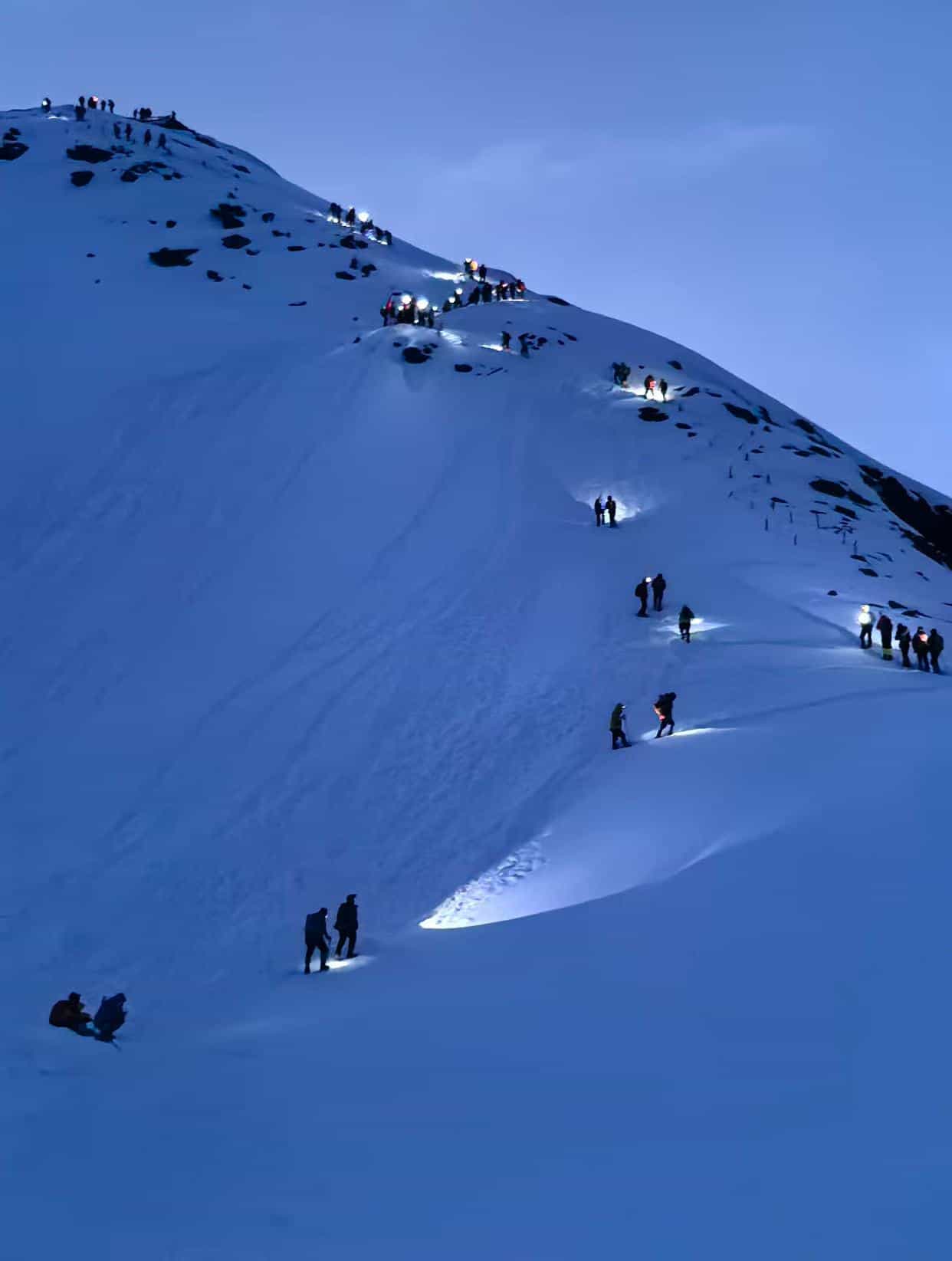 High-altitude technical mountaineering with professional guides during a pre-dawn summit push. Team using headlamps on deep snow slope for a safe and controlled expedition.