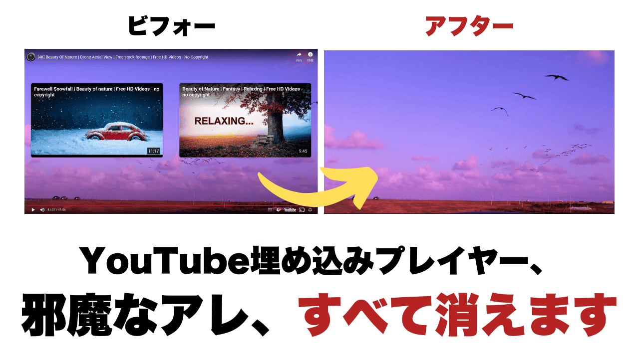 KillerPlayer レビュー