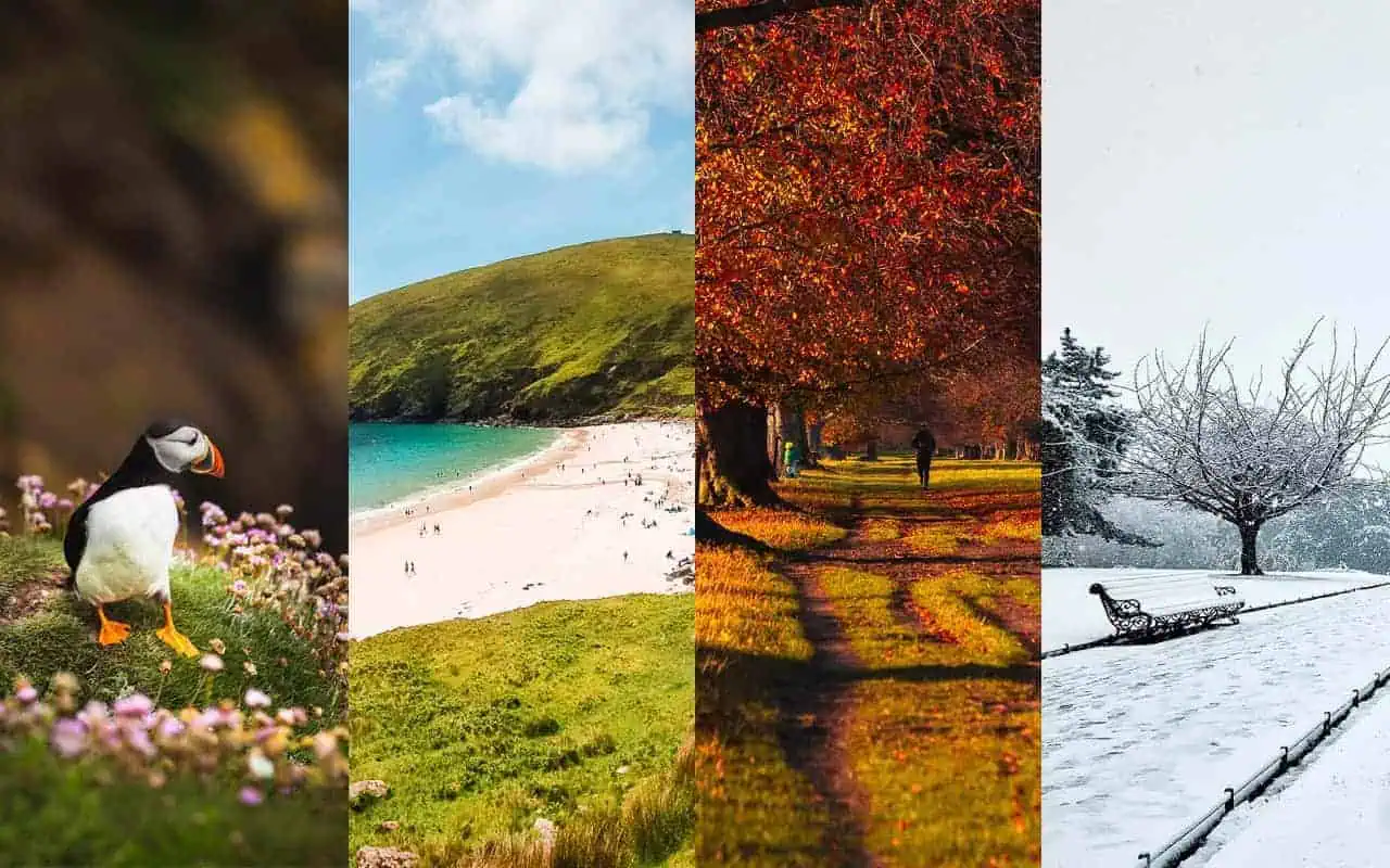 A collage representing Ireland's four seasons: a puffin surrounded by spring wildflowers, a vibrant summer beach with green hills and blue skies, an autumnal park with golden and red leaves along a tree-lined path, and a snowy winter scene featuring a bare tree and a bench covered in snow. Each panel highlights the unique beauty of Ireland's changing landscapes throughout the year.