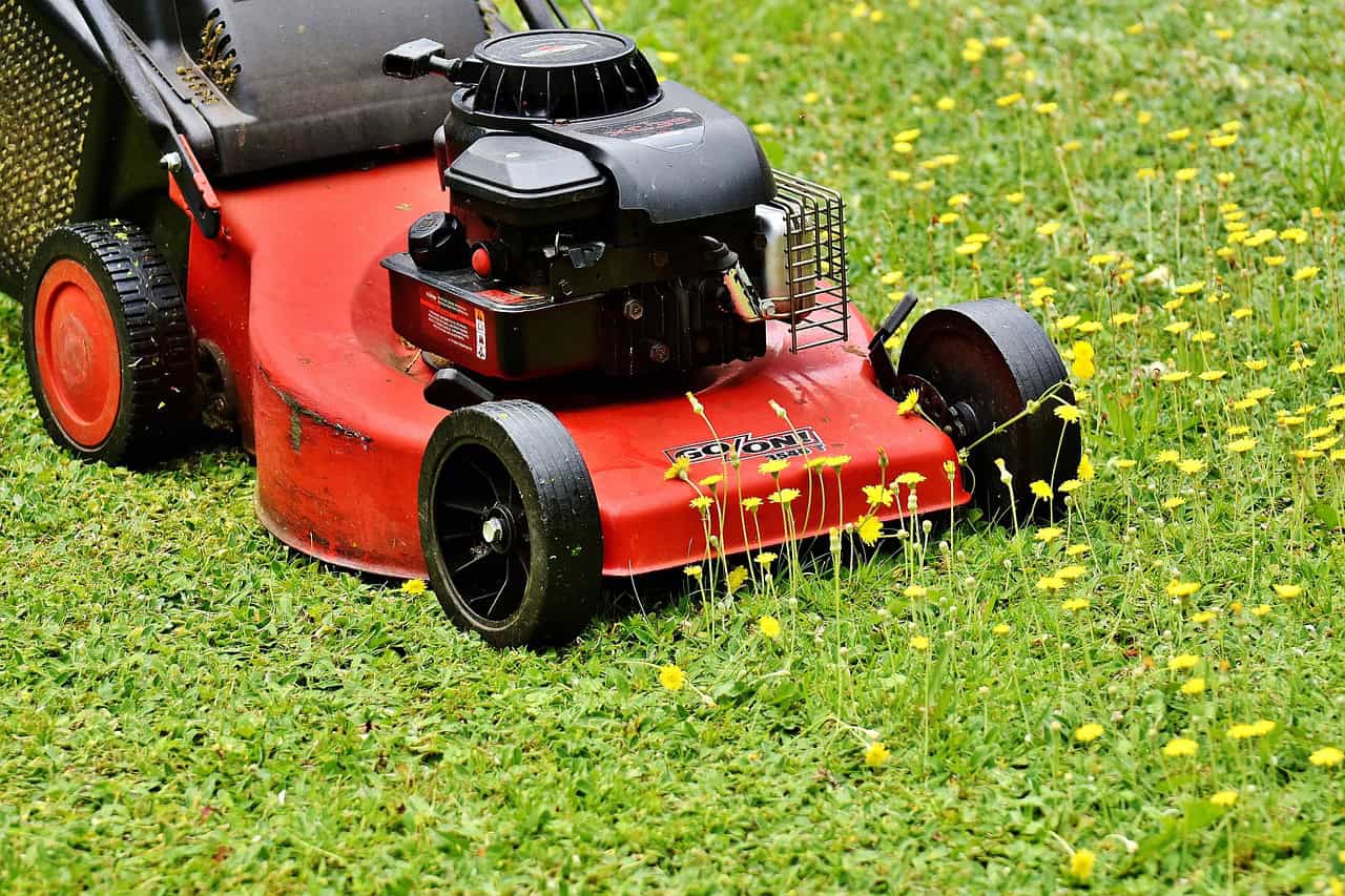 When to put weed killer on lawn