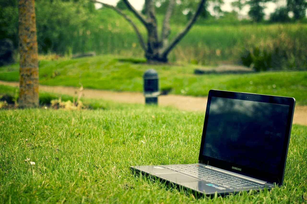 green lawn