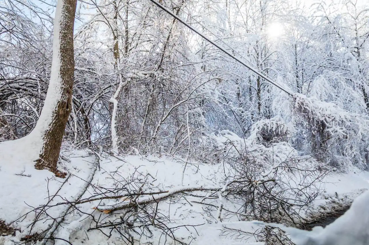 Featured image for “Preparing Your Backup Battery for Severe Cold Weather in the Carolinas”