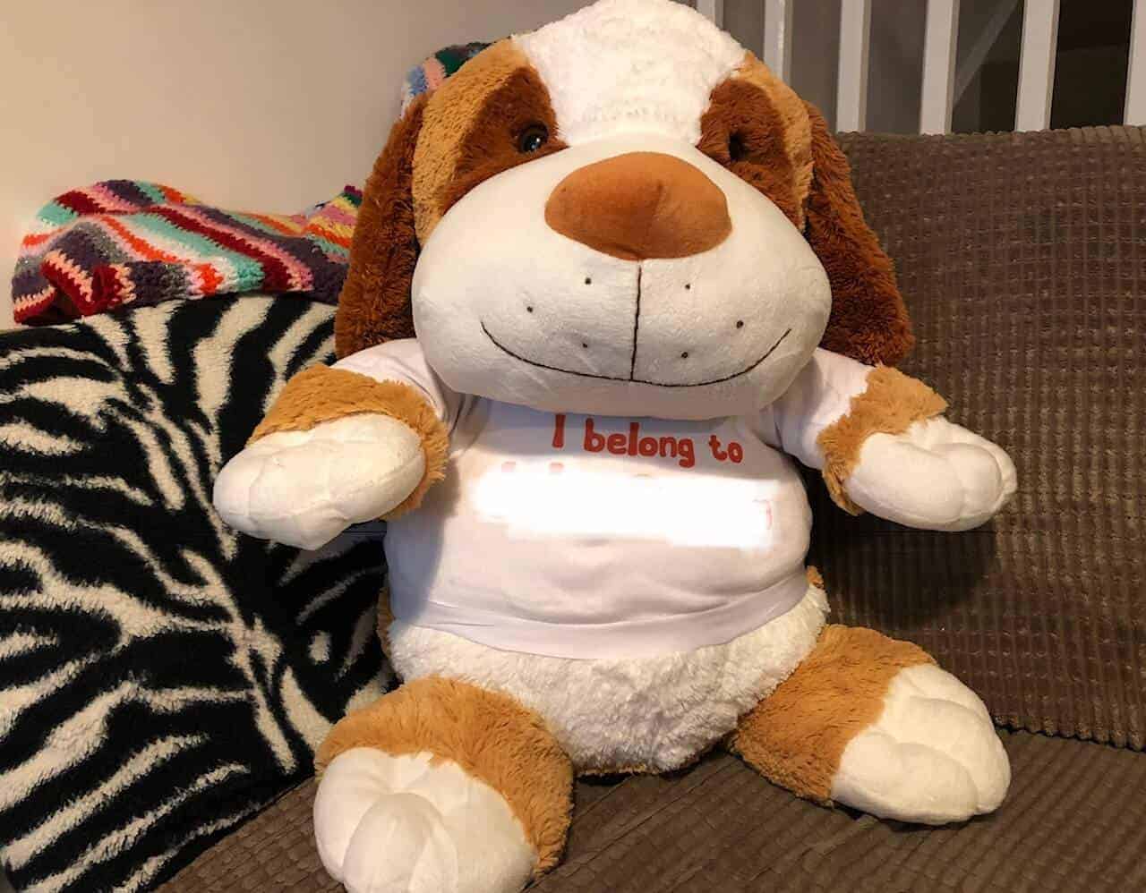 Extra Large Personalised Puppy Soft Toy