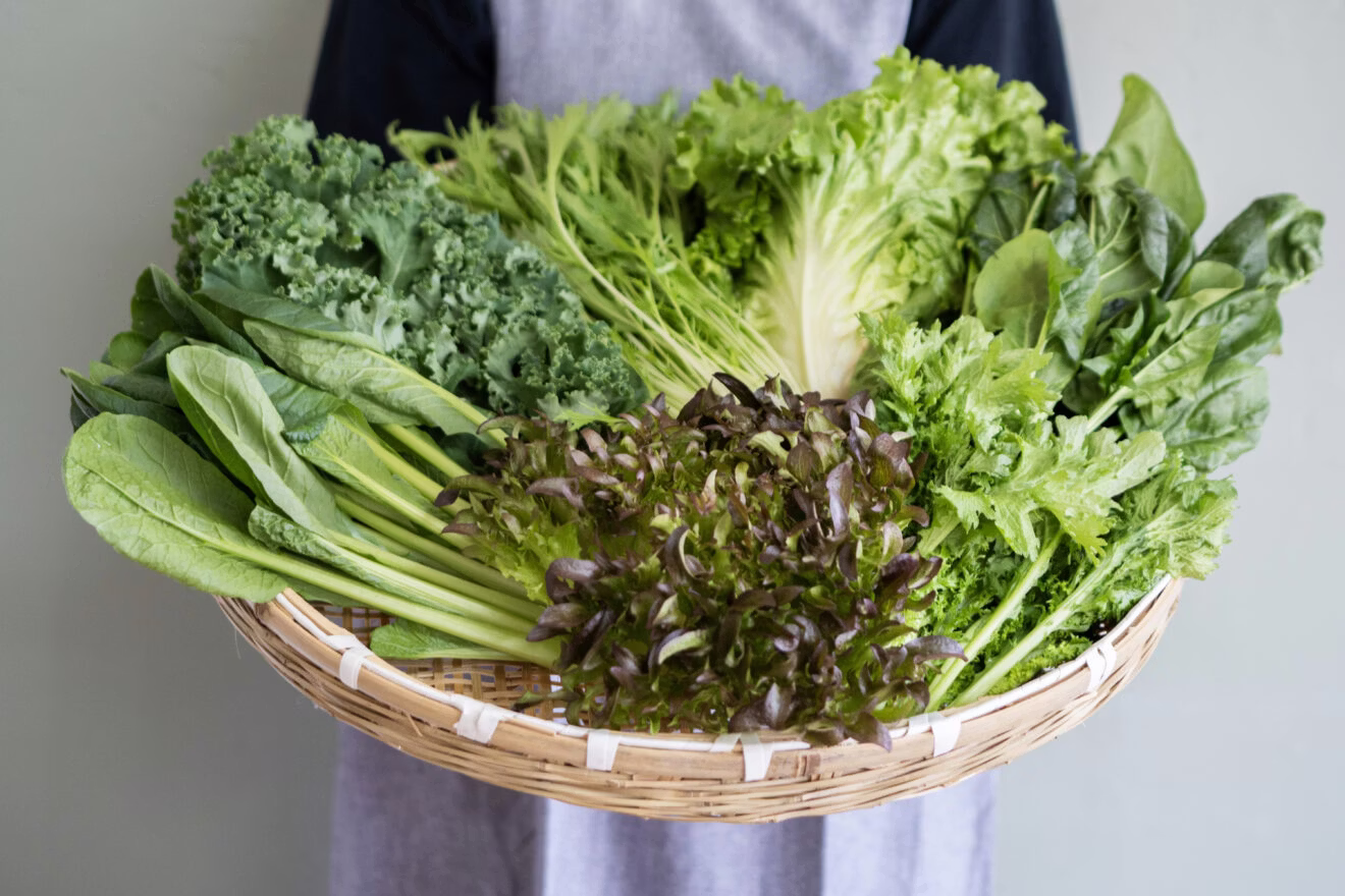 坂ノ途中の葉物おまかせセット