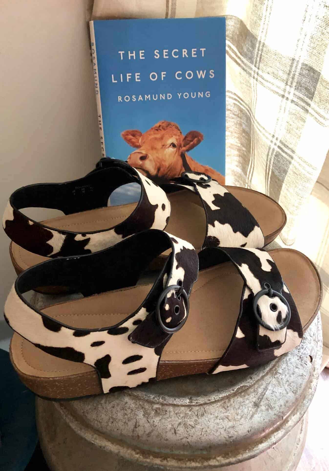 Review Hotter Tourist Sandals Cow Print Rachel Bustin