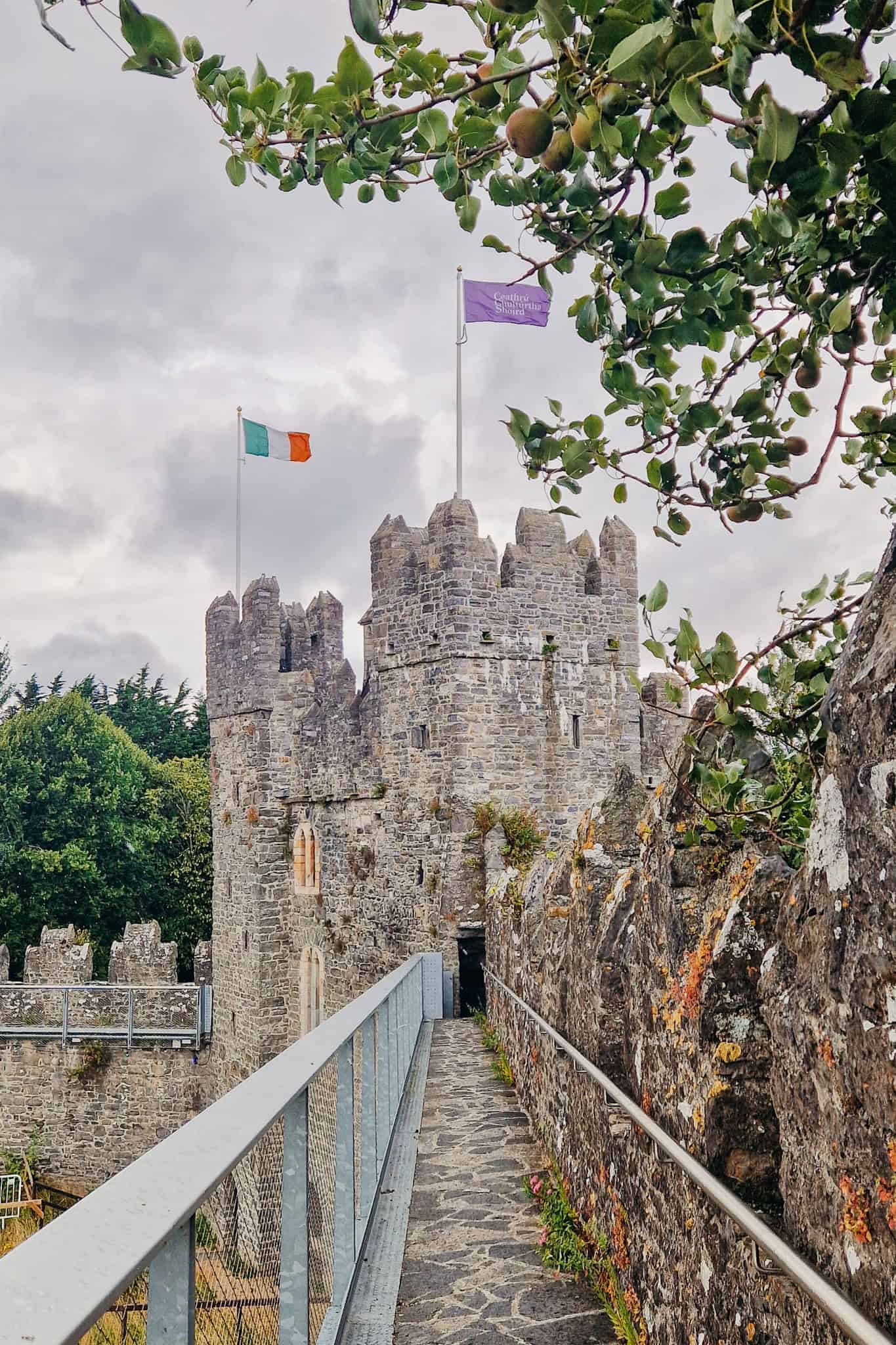 A view from a narrow stone walkway leading up to the entrance of Swords Castle’s tower. The Irish and purple flags fly above, with branches of a tree partially framing the scene.