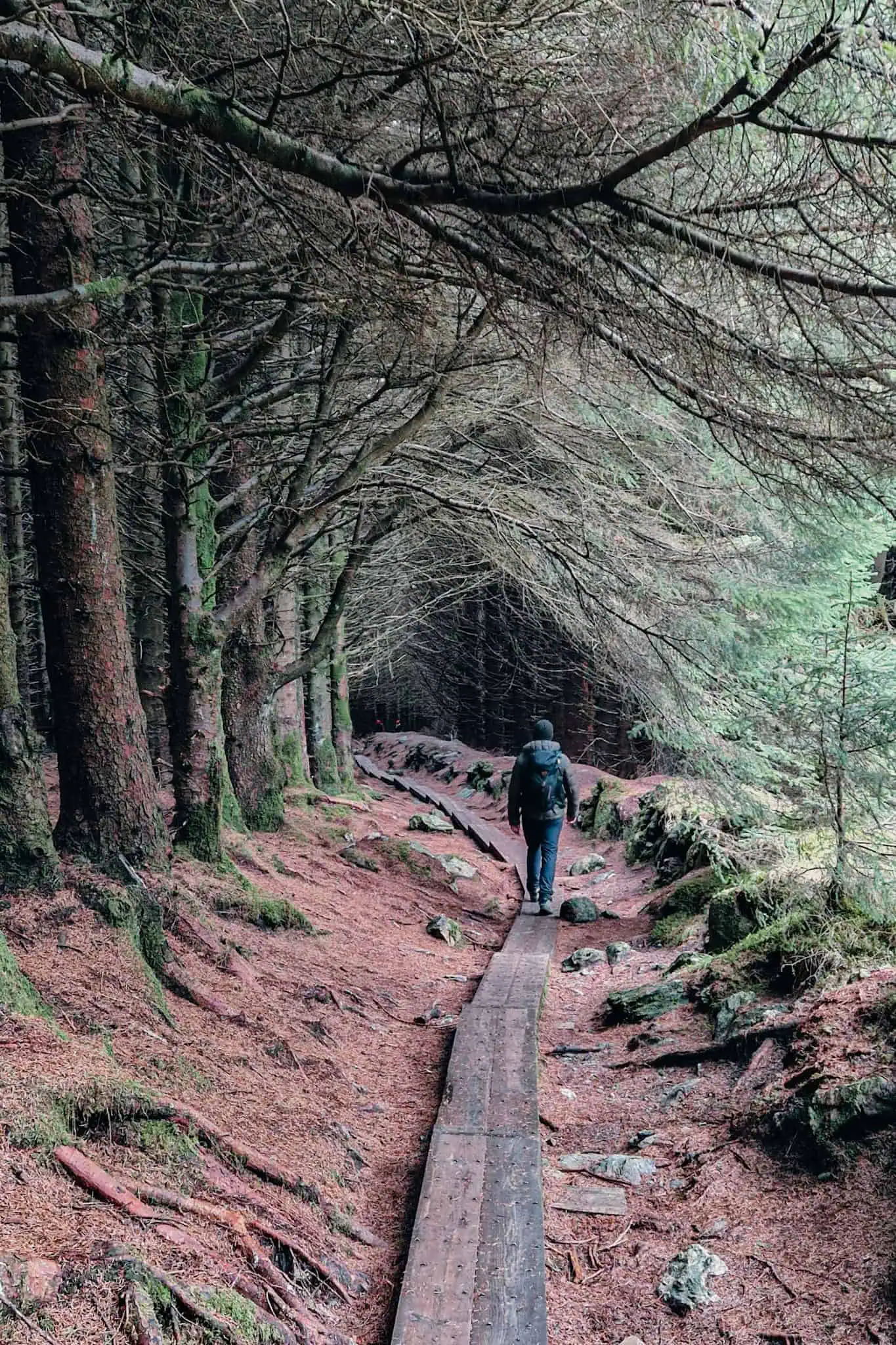 Hiking in Dublin: 20+ Epic Trails Under 1.5h away | Travel Ireland Today