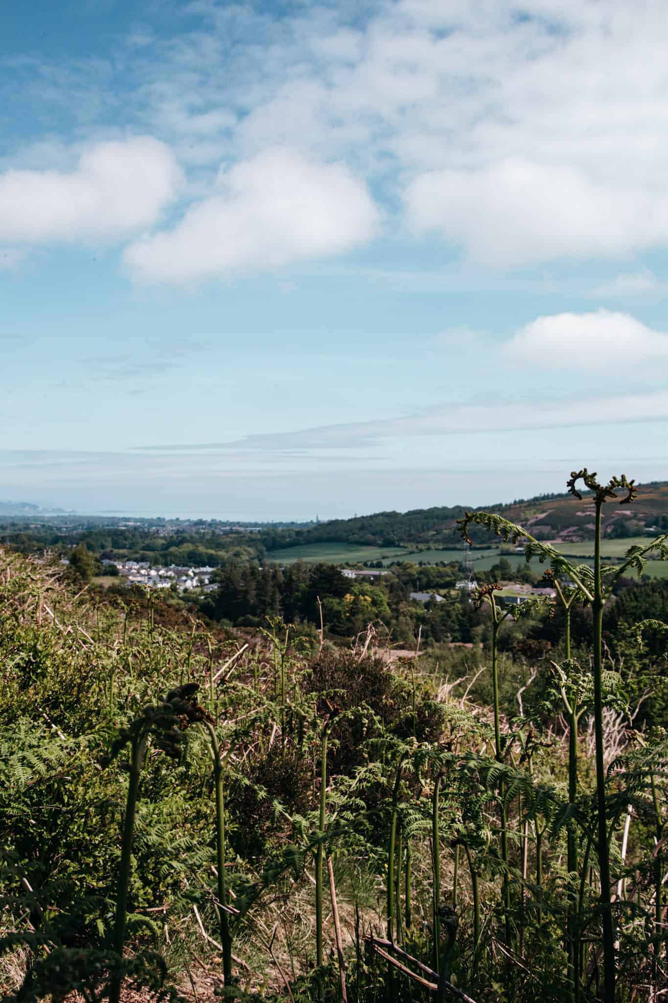 A scenic view overlooking a green valley with distant houses and hills, framed by wild vegetation and a bright blue sky with light clouds.