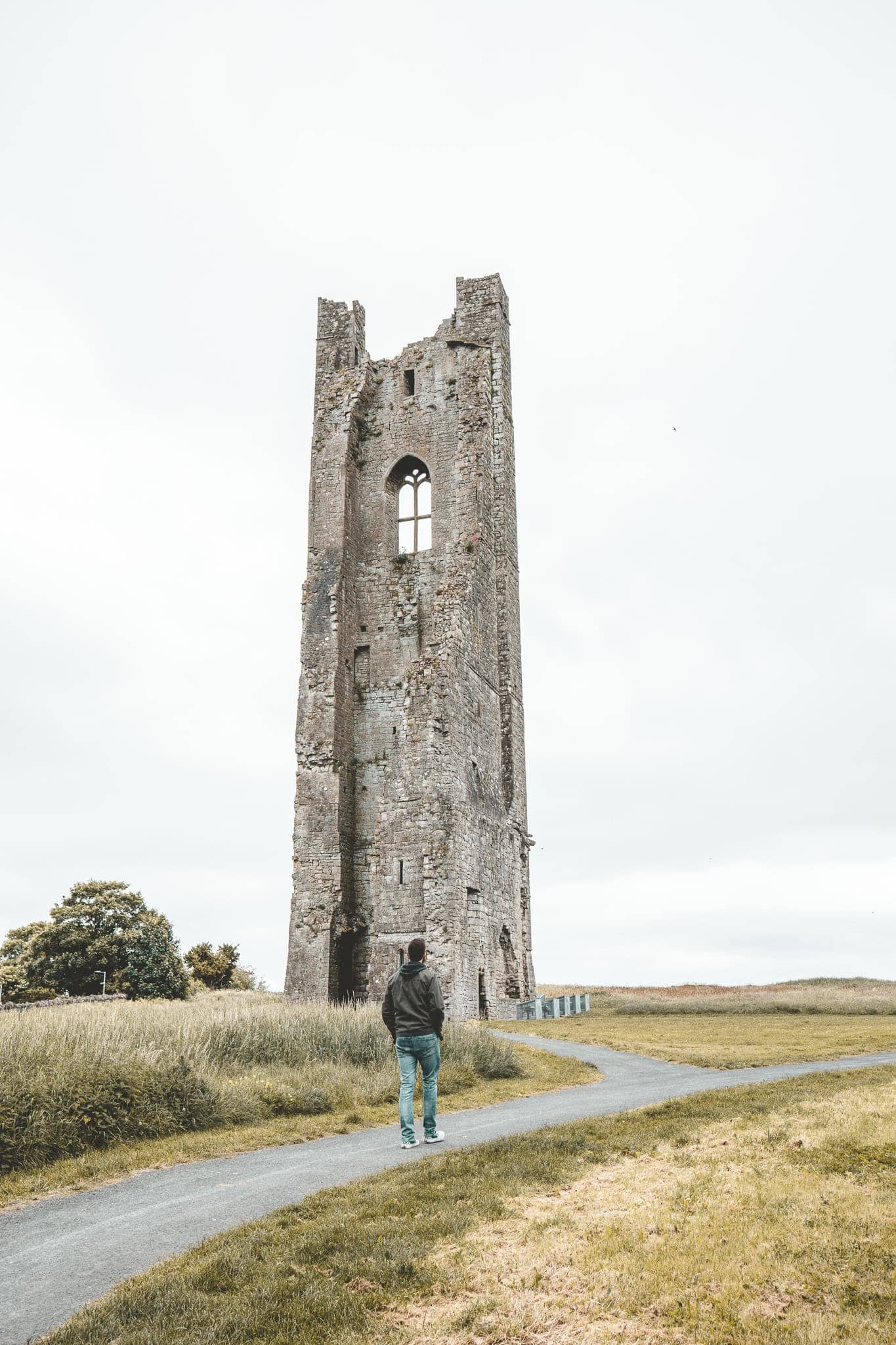  A tall, weathered stone ruin of St. Mary’s Abbey with Gothic-style windows, surrounded by green fields. A person stands on a path in the foreground, gazing up at the historic structure.