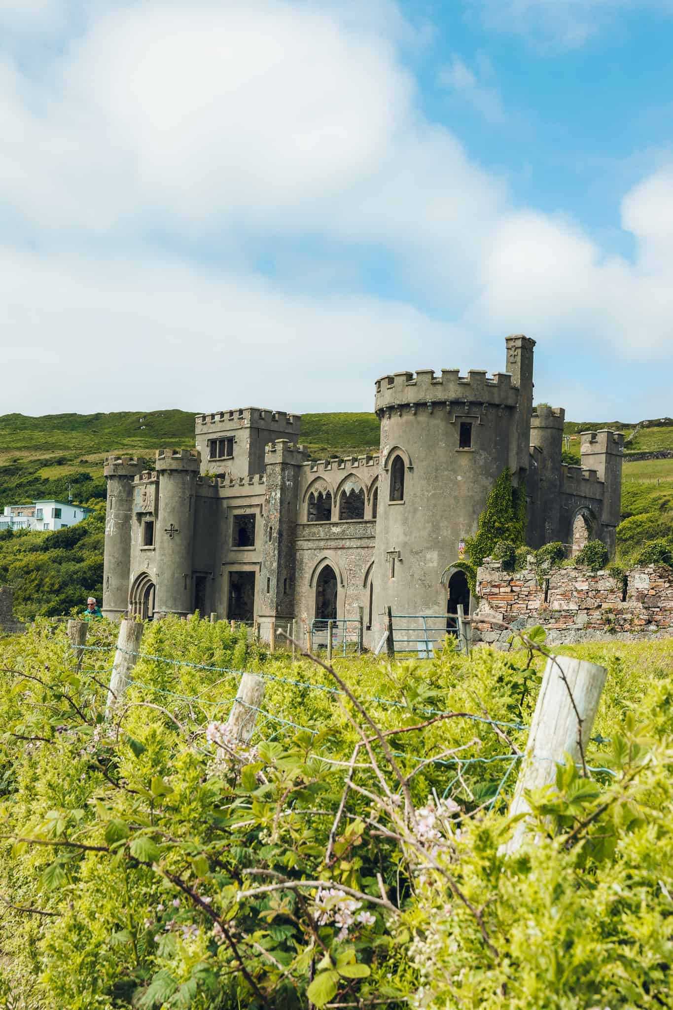Stone ruins of a Gothic-style castle in the Irish countryside, surrounded by greenery and brambles.