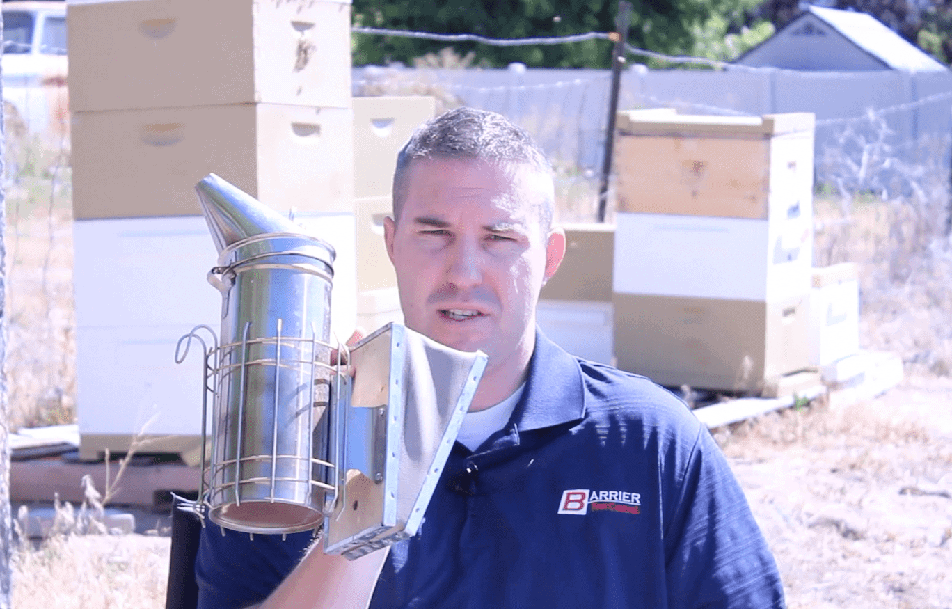 Why do beekeepers use smoke?