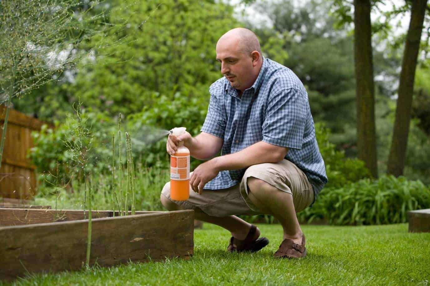 How Gardening Can Help You After Your Cancer Diagnosis