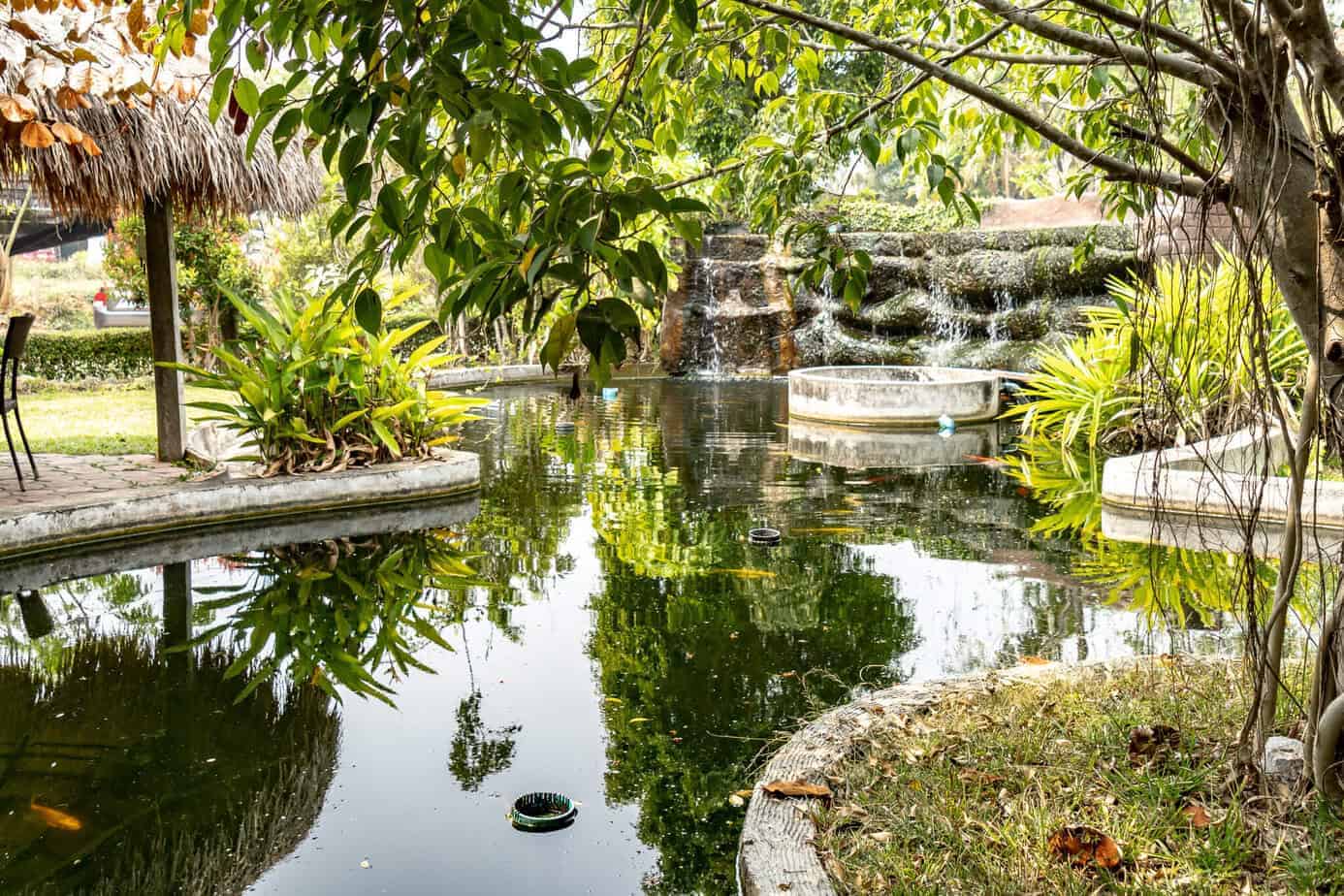 Chiang Rai: White Temple, Geheimtipps & Highlights im Norden Thailands 35 Am Leehu Coffee